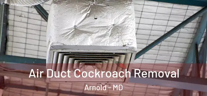  Air Duct Cockroach Removal Arnold - MD