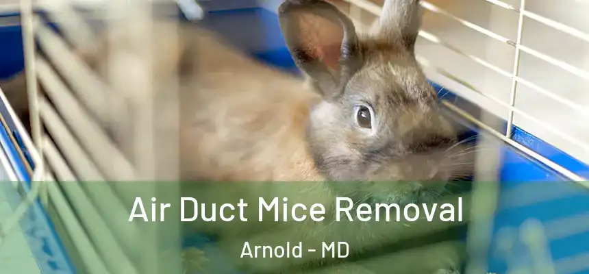  Air Duct Mice Removal Arnold - MD