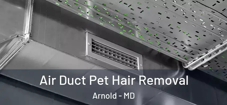Air Duct Pet Hair Removal Arnold - MD