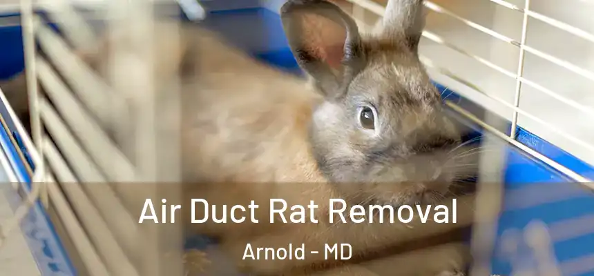  Air Duct Rat Removal Arnold - MD