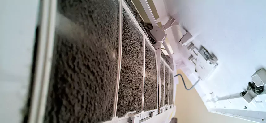 Preventive Air Duct Bacteria Removal in Arnold