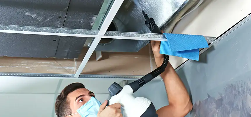 Our Air Duct Rodent Removal Services in Arnold, MD
