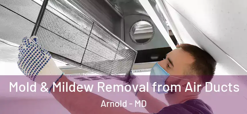  Mold & Mildew Removal from Air Ducts Arnold - MD