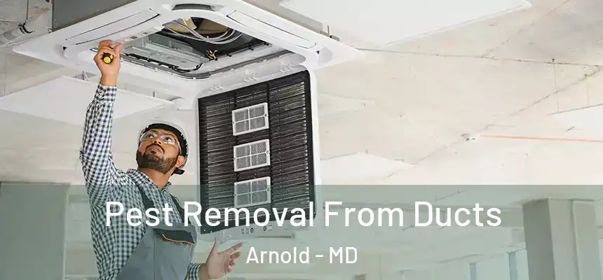Pest Removal From Ducts Arnold - MD