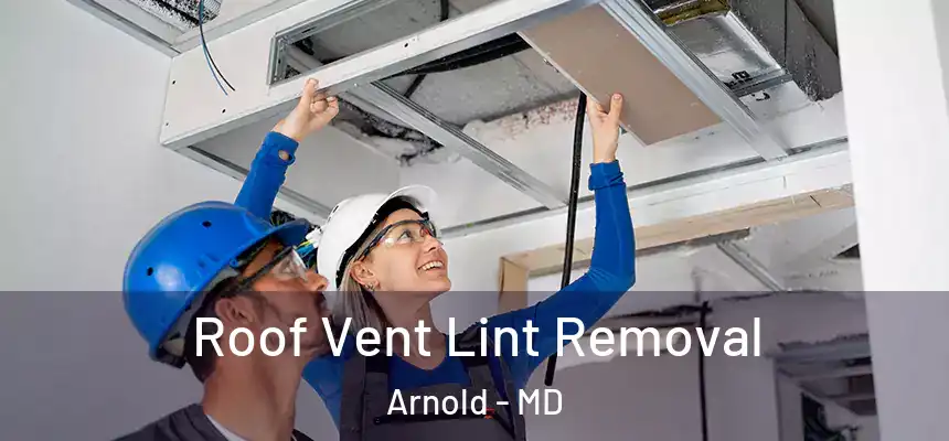  Roof Vent Lint Removal Arnold - MD