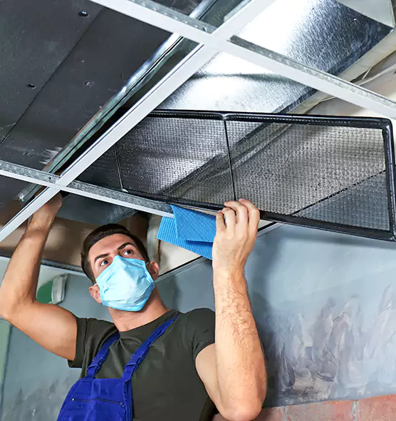 Professional Air Duct Pollen Cleaning in Arnold, MD