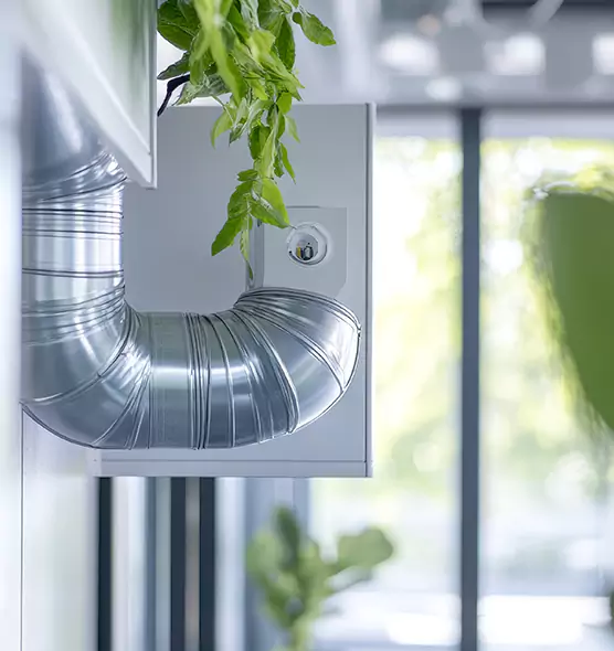 Professional Eco-Safe Dryer Vent Cleaning in Arnold, MD