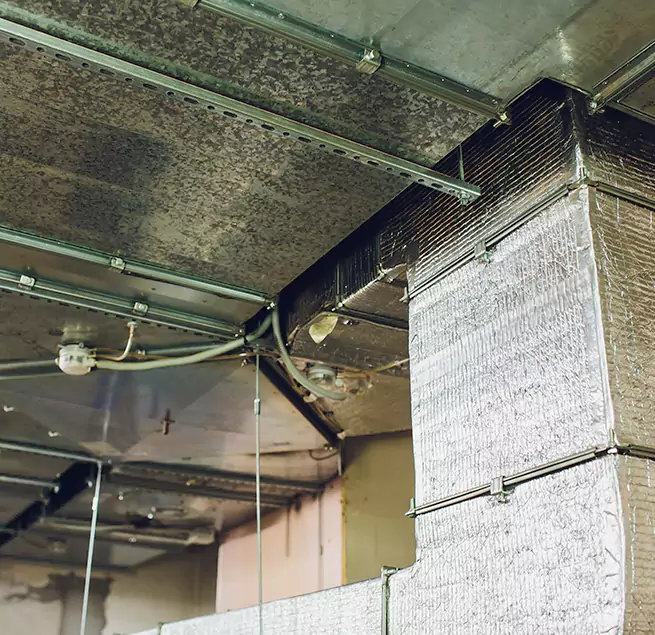 Why Homeowners & Businesses Trust Us in Arnold, MD?